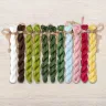 Set of OwlForest Hand-Dyed Threads for the “Frog Ballet” Chart (Thread Trade n.a. Kirov)