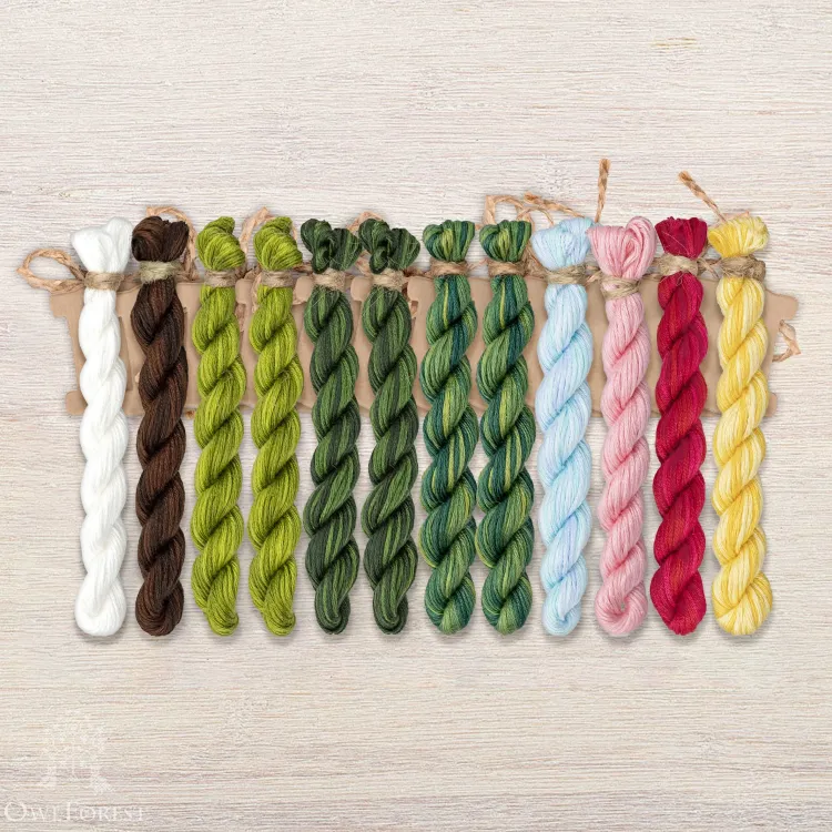 Set of OwlForest Hand-Dyed Threads for the “Frog Ballet” Chart (Thread Trade n.a. Kirov)