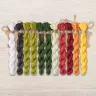 Set of OwlForest Hand-Dyed Threads for the “Watermelon Alphabet” Chart RU (DMC)