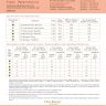 Printed embroidery chart “Fiery Nasturtium”