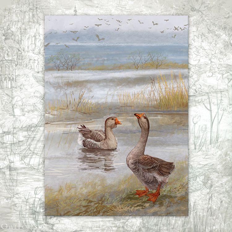 “Wild Geese” Postcard