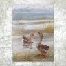 “Wild Geese” Postcard