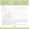 Printed embroidery chart “Bright Beetles”
