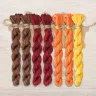 Set of OwlForest Hand-Dyed Threads for the “Cat Carriage” Chart (DMC)