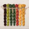 Set of OwlForest Hand-Dyed Threads for the “Fiery Nasturtium” Chart (DMC)
