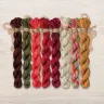 Set of OwlForest Hand-Dyed Threads for the “Viburnum Hummingbirds” Chart (DMC)