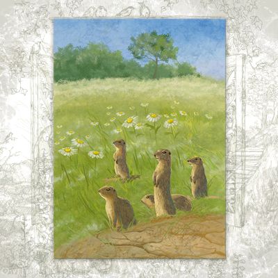 “Guard Gophers” Postcard