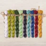 Set of OwlForest Hand-Dyed Threads for the “Bright Beetles” Chart (DMC)