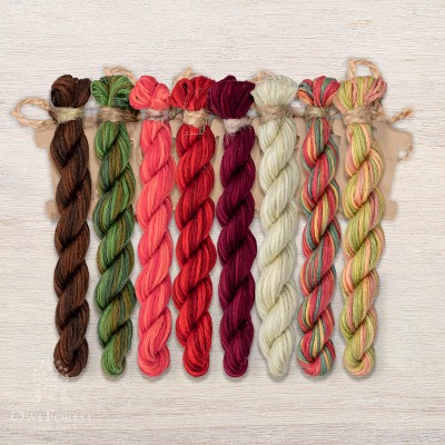 Set of OwlForest Hand-Dyed Threads for the “Viburnum Hummingbirds” Chart (Thread Trade n.a. Kirov)