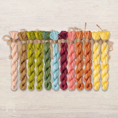 Set of OwlForest Hand-Dyed Threads for the “Sweet Home” Chart (DMC)