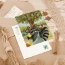 “Life in Raccoonville” Postcard Set  