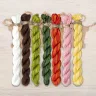 Set of OwlForest Hand-Dyed Threads for the “Beautiful Fly” Chart (Thread Trade n.a. Kirov)