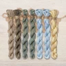 Set of OwlForest Hand-Dyed Threads for the «Hour of the Owl» (DMC)