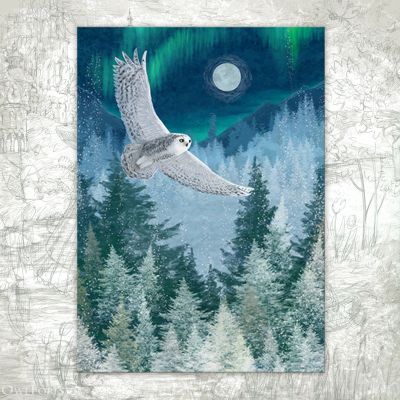 “Polar Night” Postcard