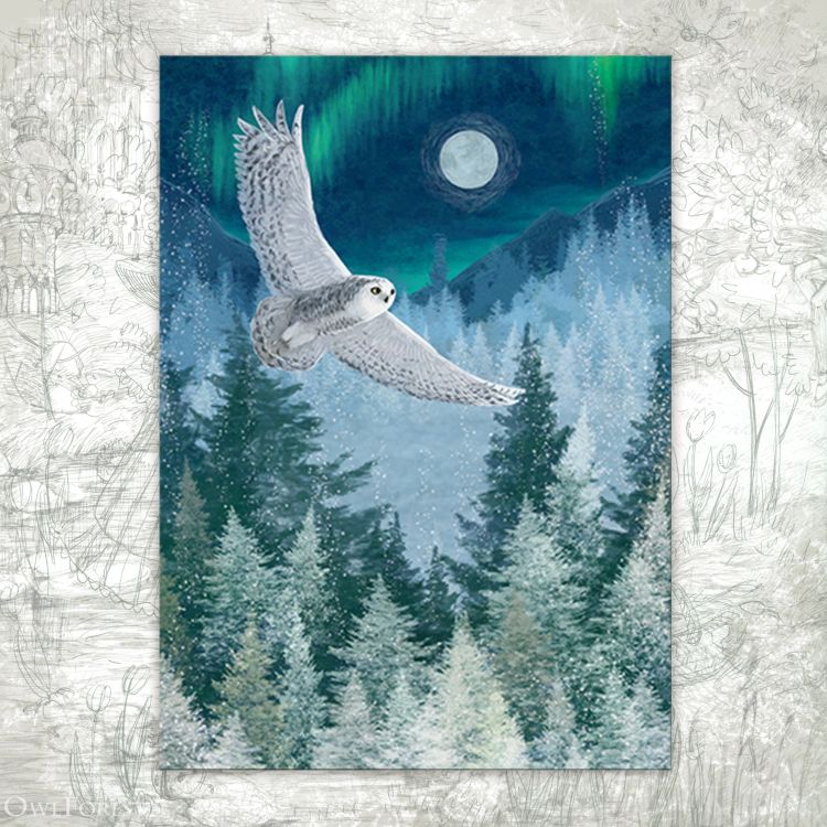 “Polar Night” Postcard
