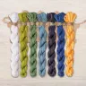Set of OwlForest Hand-Dyed Threads for the “Gardener’s Shelf” Chart (DMC)