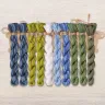 Set of OwlForest Hand-Dyed Threads for the “Blueberry House” Chart (DMC)