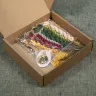 Embroidery kit “Oyster Shroom Theater”