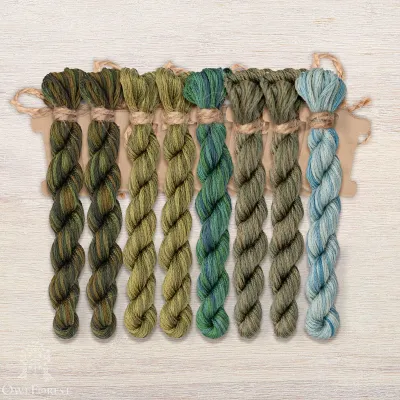 Set of OwlForest Hand-Dyed Threads for the “Turtle Quaker” Chart (DMC)