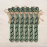 Set of OwlForest Hand-Dyed Threads for the “Twelve Months” SAL Border (Thread Trade n.a. Kirov)