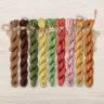 Set of OwlForest Hand-Dyed Threads for the “Thrifty Toad” Chart (Thread Trade n.a. Kirov)