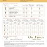 Printed embroidery chart “Pumpkin Cat”