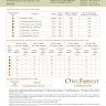 Printed embroidery chart “Easter Bells”