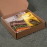 Embroidery kit “Bobcat”