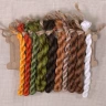 Embroidery kit “Bobcat”