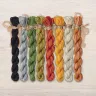Set of OwlForest Hand-Dyed Threads for the “Pumpkin Cat” Chart (DMC)