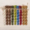 Set of OwlForest Hand-Dyed Threads for the “Toad Summer” Chart (DMC)