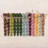 Set of OwlForest Hand-Dyed Threads for the “World of Cacti” (DMC) 