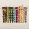 Set of OwlForest Hand-Dyed Threads for the “World of Cacti” (DMC) 