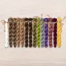 Set of OwlForest Hand-Dyed Threads for the “Juice Brew Lab” Chart (Thread Trade n.a. Kirov)