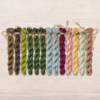 Set of OwlForest Hand-Dyed Threads for the “World of Cacti” (Thread Trade n.a. Kirov) 