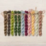 Set of OwlForest Hand-Dyed Threads for the “World of Cacti” (Thread Trade n.a. Kirov) 