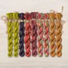 Set of OwlForest Hand-Dyed Threads for the “Grape Summer” Chart (DMC)