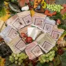 Mini-kits from “Krylov's Fables” Series