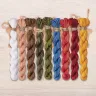 Set of OwlForest Hand-Dyed Threads for the “At the Bath House” Chart (DMC)