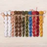 Set of OwlForest Hand-Dyed Threads for the “At the Bath House” Chart (DMC)
