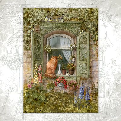“Window” Postcard
