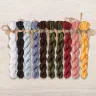Set of OwlForest Hand-Dyed Threads for the “The Learned Cat” Chart (DMC)