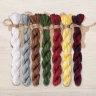 Set of OwlForest Hand-Dyed Threads for the “Shelf with Jam” Chart (DMC)