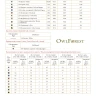 Printed embroidery chart “Snow leopard”