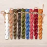 Set of OwlForest Hand-Dyed Threads for the “At the Bath House” Chart (Thread Trade n.a. Kirov)
