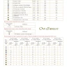 Digital embroidery chart “Snow leopard”